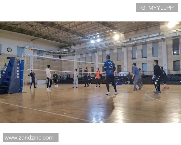 2026排球意识排行榜：深圳排球队位居第9名